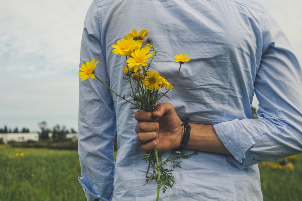 Daisies are safe for animals