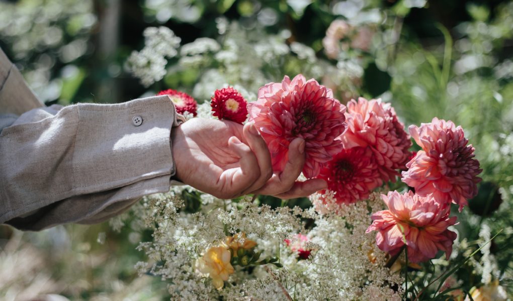 Essential oils are safe for plants.