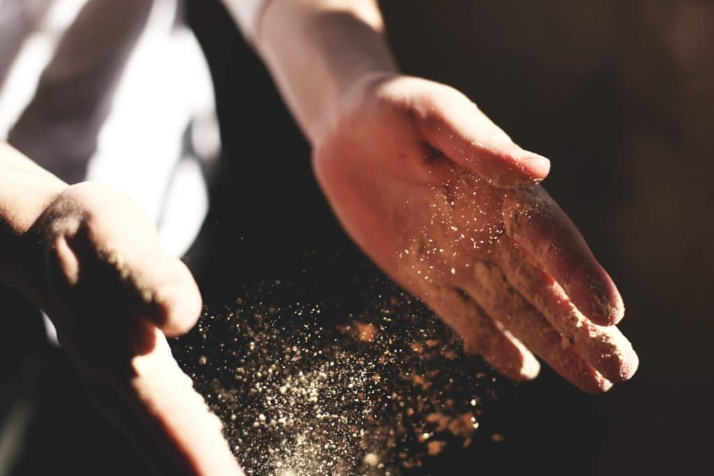 Use a food dehydrator outside only when the air is clean.